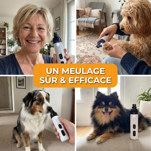 Moteur ultra-silencieux de moins de 40 dB
