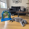 The Cat Wash in a living room